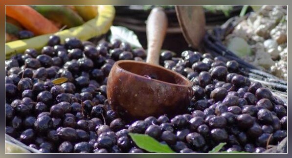 Olivenöl aus eigener Herstellung- Extra Native aus Italien